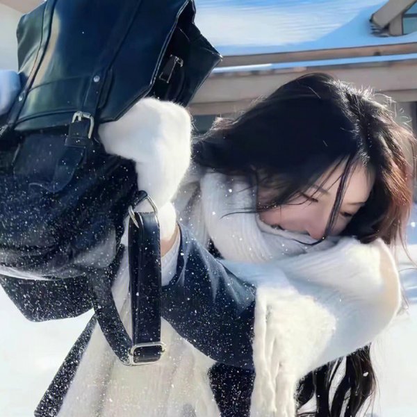恣女木